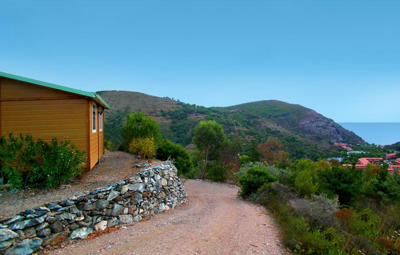 Camping Village Canapai 리오마리나 객실 사진